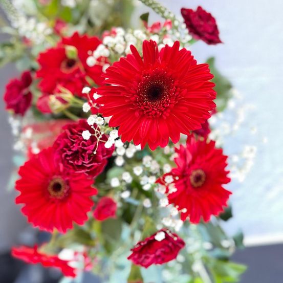 Bild enthält, Flower, Flower Arrangement, Plant, Flower Bouquet, Daisy, Petal, Anemone, Rose, Floral Design, Pattern