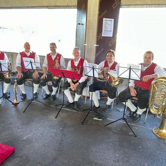 Bild enthält, Horn, Musical Instrument, Tuba, Group Performance, Person, Music Band, Adult, Male, Man, People