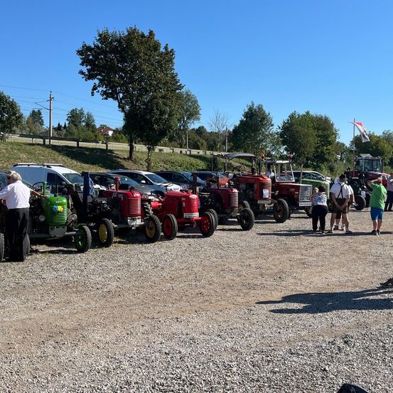 Bild enthält, Car Show, Person, Adult, Male, Man, Shoe, Outdoors, Wheel, Hot Rod, Shorts