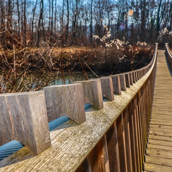 Bild enthält, Boardwalk, Water, Waterfront, Handrail, Wood, Pier, Railing, Outdoors, Scenery, Path