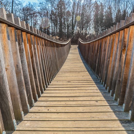 Bild enthält, Boardwalk, Bridge, Wood, Water, Waterfront, Path, Walkway, Staircase, Outdoors, Nature