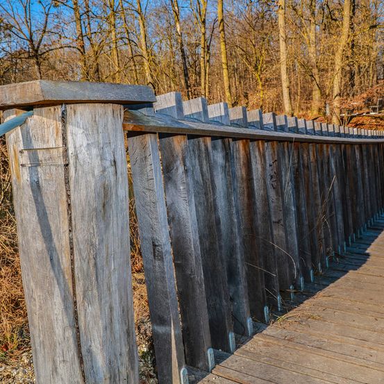 Bild enthält, Boardwalk, Bridge, Handrail, Wood, Waterfront, Path, Walkway, Railing, Outdoors, Nature