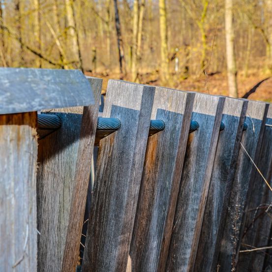 Bild enthält, Wood, Backyard, Nature, Outdoors, Yard, Fence