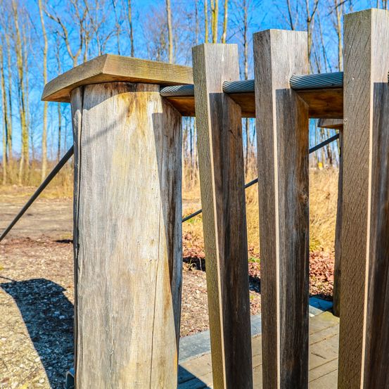 Bild enthält, Wood, Outdoors, Backyard, Nature, Yard, Lumber, Plant, Tree, Play Area
