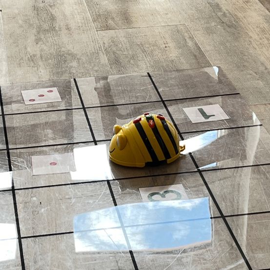 Bild enthält, Floor, Flooring, Indoors, Interior Design, Helmet, Clothing, Hardhat, Toy