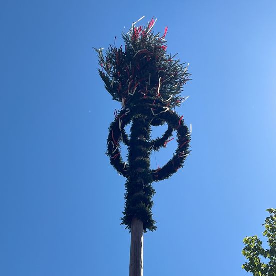 Ein dekorierter Tannenbaum mit roten, weißen und rosafarbenen Bändern ist auf einem Pfahl befestigt, vor einem klaren blauen Himmel.