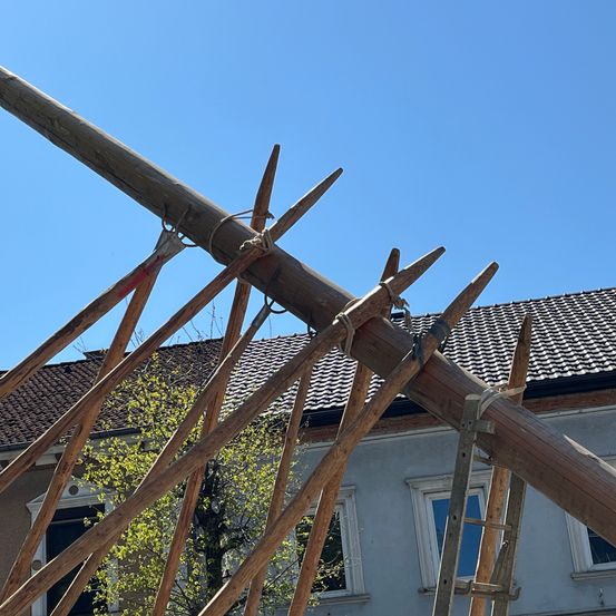 Ein Nahaufnahme einer Holzkonstruktion im Bau mit einer Leiter, die an ein Gebäude gelehnt ist.