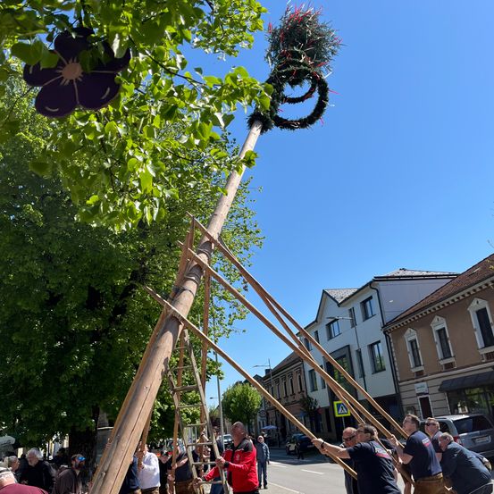 Eine Gruppe von Menschen hebt tagsüber einen hohen Pfahl mit Dekorationen.
