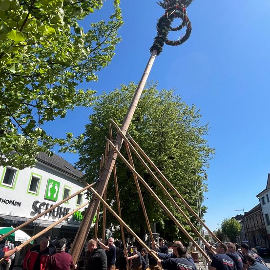 Eine Gruppe von Menschen auf einem Stadtplatz hält einen großen Holzpfahl mit einem Kranz oben, als Teil einer Feier.