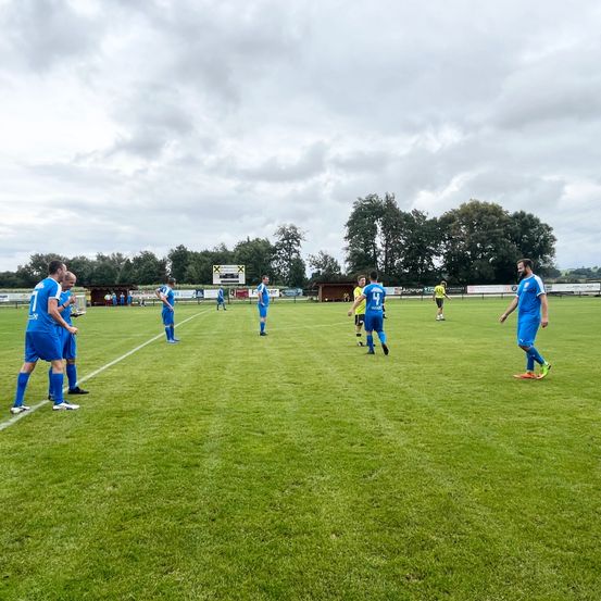 Fußballspieler in blauen und gelben Trikots befinden sich auf einem Rasenfeld. Sie scheinen über das Spiel zu diskutieren. Das Feld hat weiße Markierungen und Bäume im Hintergrund.