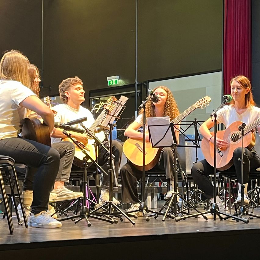 Bild enthält, Guitar, Adult, Female, Person, Woman, Microphone, Shoe, Group Performance, Guitarist, Musician