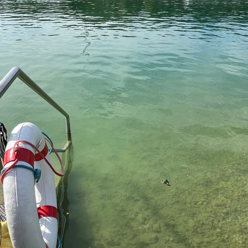 Ein Rettungsring ist mit einem roten und blauen Seil an der Seite eines Bootes im klaren grünen Wasser befestigt.