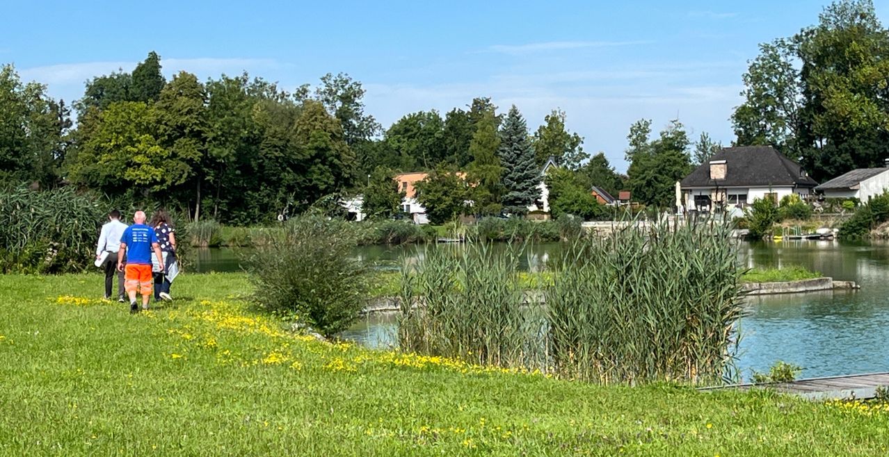 Eine friedliche Szene eines Grasbereichs mit einem Teich und Bäumen im Hintergrund, Häuser sind in der Nähe des Wasserrandes zu sehen.