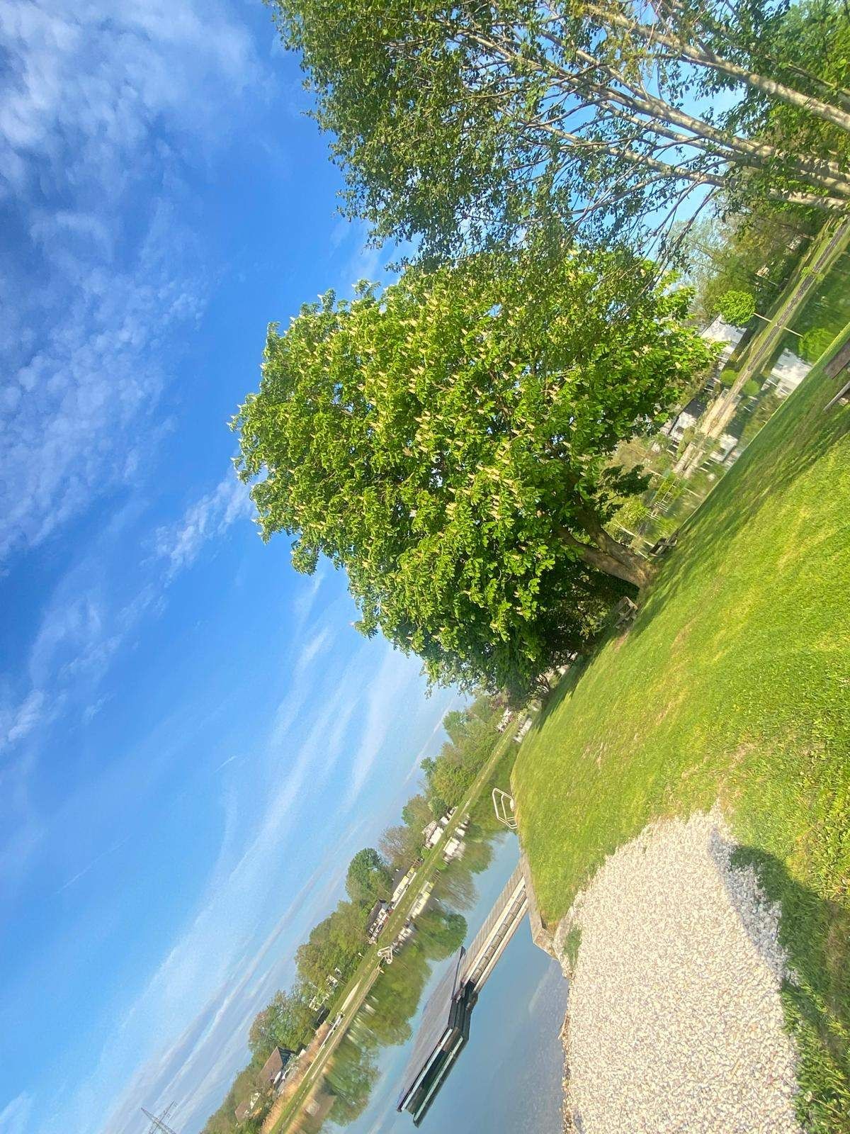 Ein Luftbild eines üppigen grünen Parks mit einem Baum, einem Gewässer und einem blauen Himmel mit Wolken.