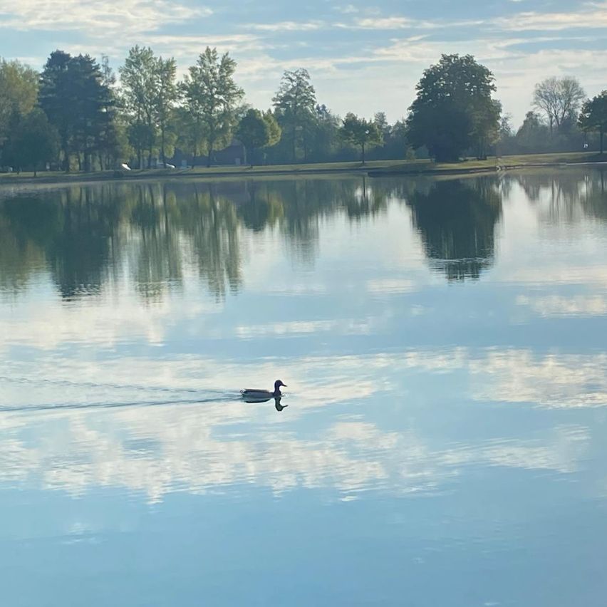 Ein ruhiger See mit klarem blauem Wasser, umgeben von üppigen grünen Bäumen und einem bewölkten Himmel. Eine einzelne Ente schwimmt in der Mitte.