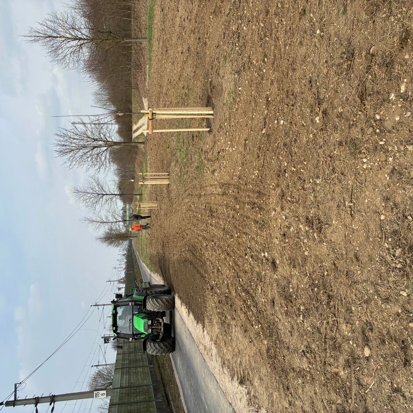 Ein Traktor ist am Straßenrand neben einem Feld mit mehreren jungen Bäumen geparkt. Menschen stehen im Feld und auf der Straße.