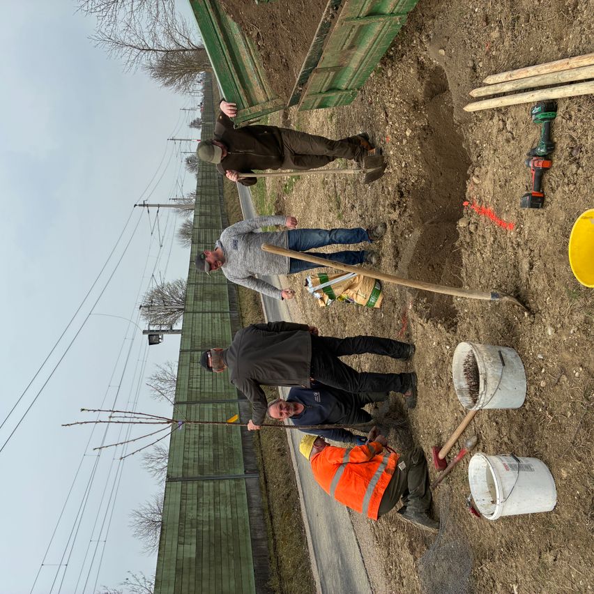 Eine Gruppe von Arbeitern auf einem Feldweg in der Nähe einer Straße. Ein Mann pflanzt einen Baum.