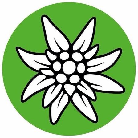 Eine stilisierte weiße Blume mit spitzen Blütenblättern auf grünem Hintergrund.