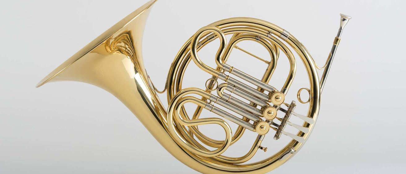Bild enthält, Brass Section, Horn, Musical Instrument, French Horn, Chandelier, Lamp