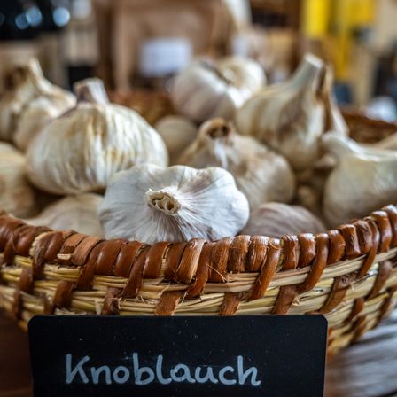 Bild enthält, Fungus, Plant, Food, Produce, Garlic, Vegetable