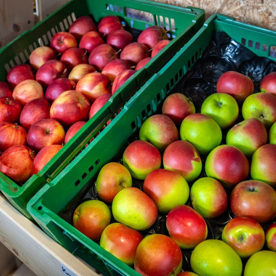 Bild enthält, Apple, Food, Fruit, Plant, Produce