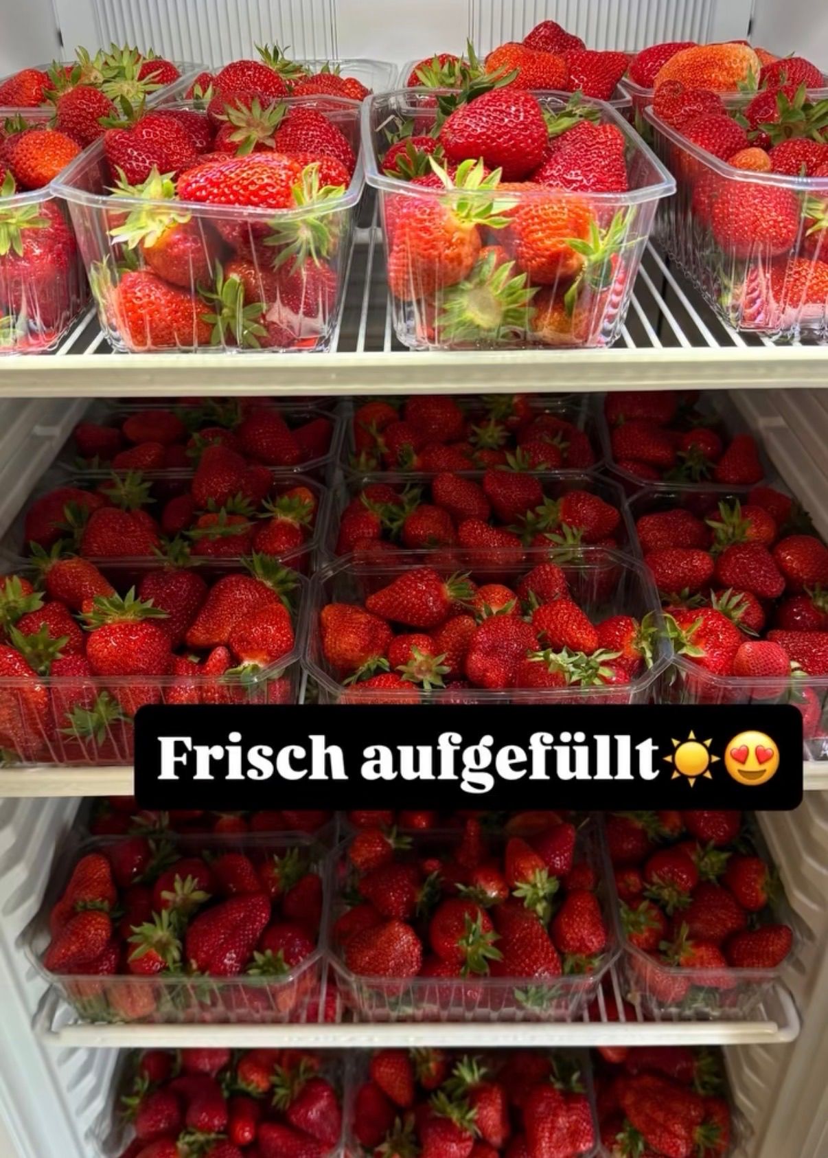 Ein Kühlschrankregal gefüllt mit Erdbeeren in transparenten Plastikbehältern, jeder mit der Aufschrift 'Frisch aufgefüllt'. Die Erdbeeren sind rot mit grünen Blättern.