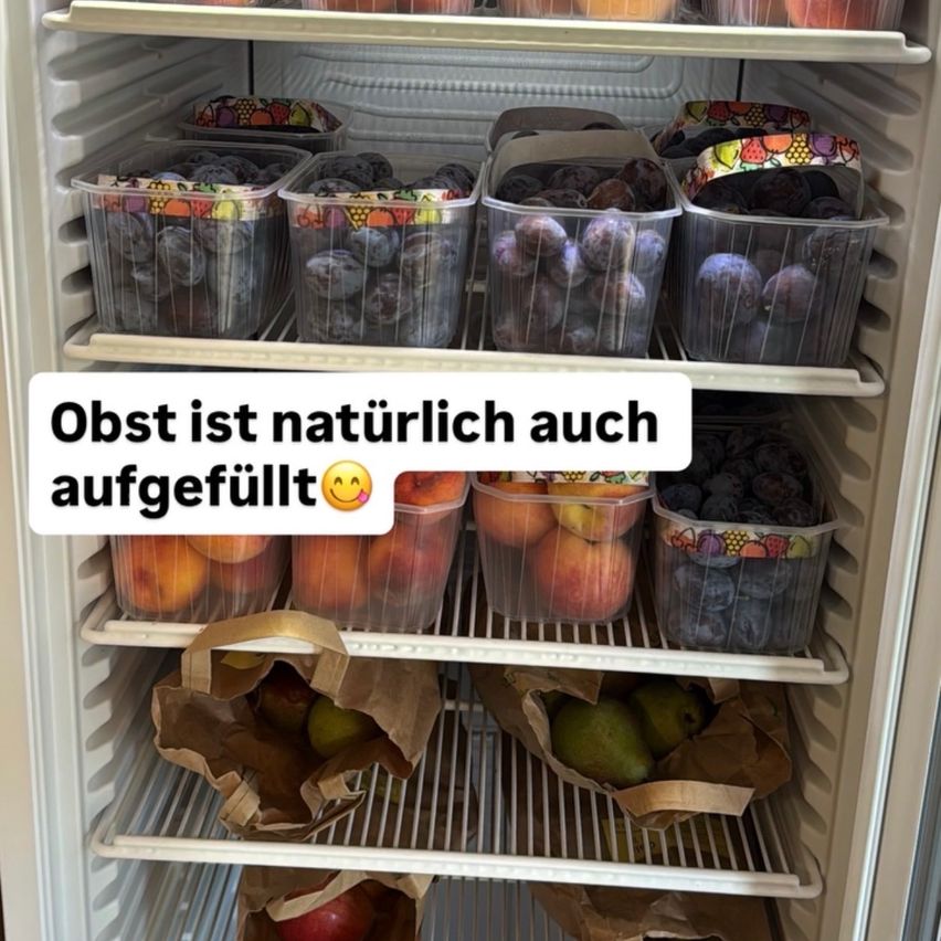 Ein Kühlschrankregal gefüllt mit verschiedenen Früchten in Plastikbehältern, darunter Pflaumen, Pfirsiche und Birnen. Ein deutscher Textüberlagerung lautet 'Obst ist natürlich auch aufgefullt'.
