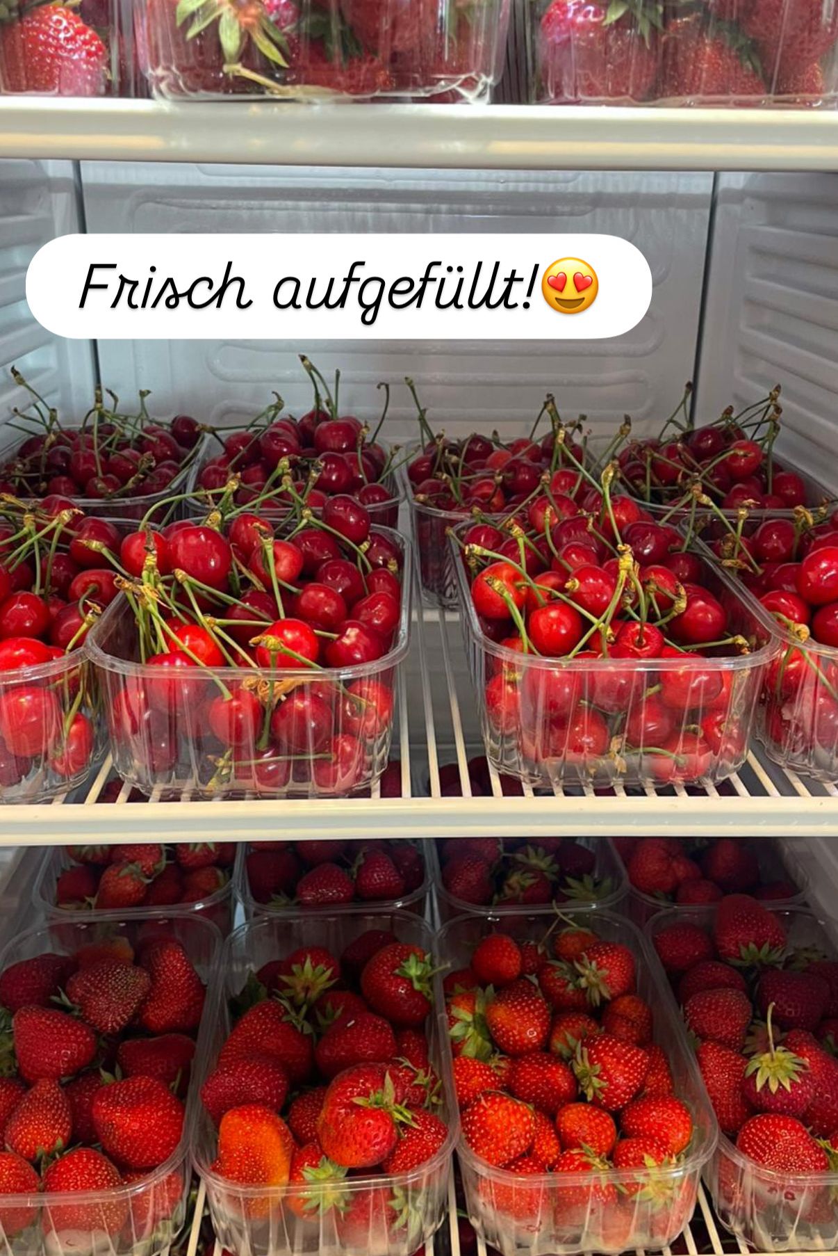A refrigerator shelf full of cherries and strawberries, packed in transparent containers. The text overlay reads 'Frisch aufgefullt!' with a heart emoji.