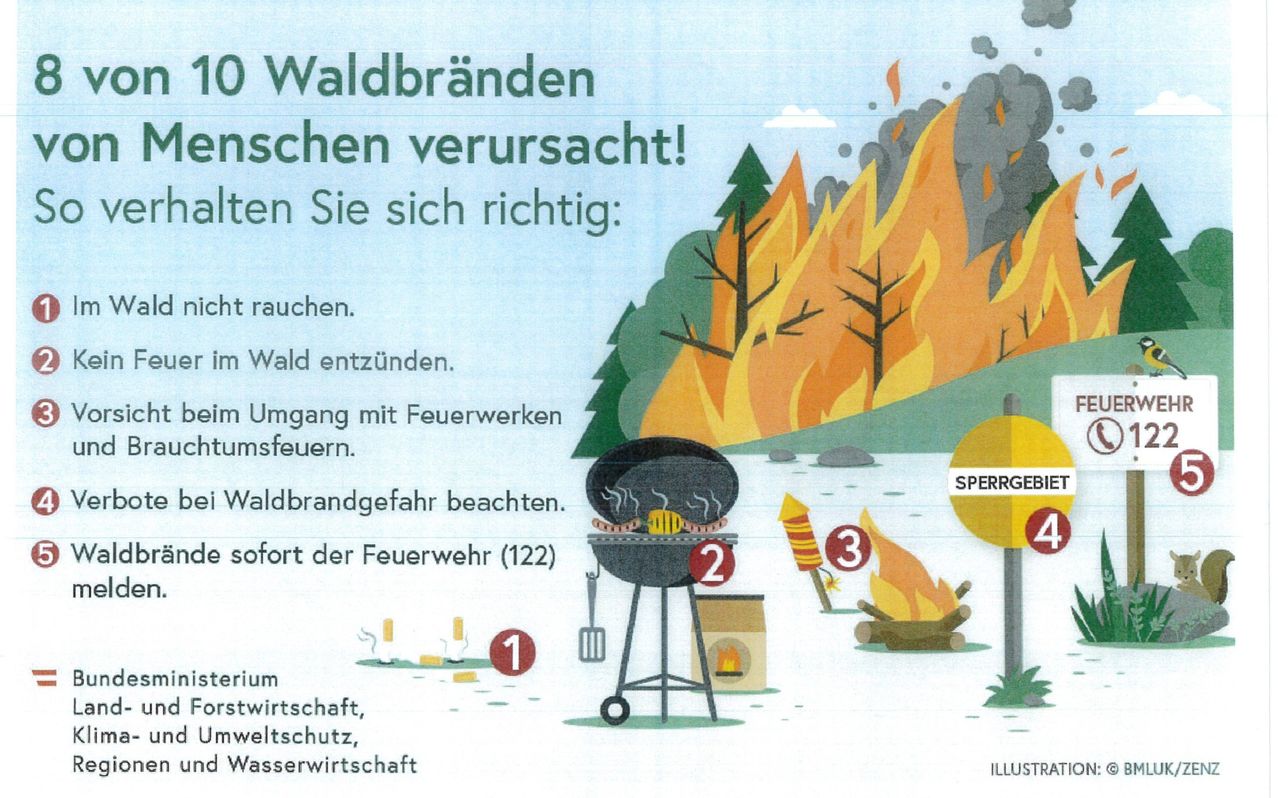 Ein Infografik zeigt die Ursachen von Waldbränden, einschließlich Rauchen, Waldbrände, Feuerwerke und Lagerfeuer. Es rät, Waldbrandwarnungen zu beachten und sofort die Feuerwehr zu rufen.