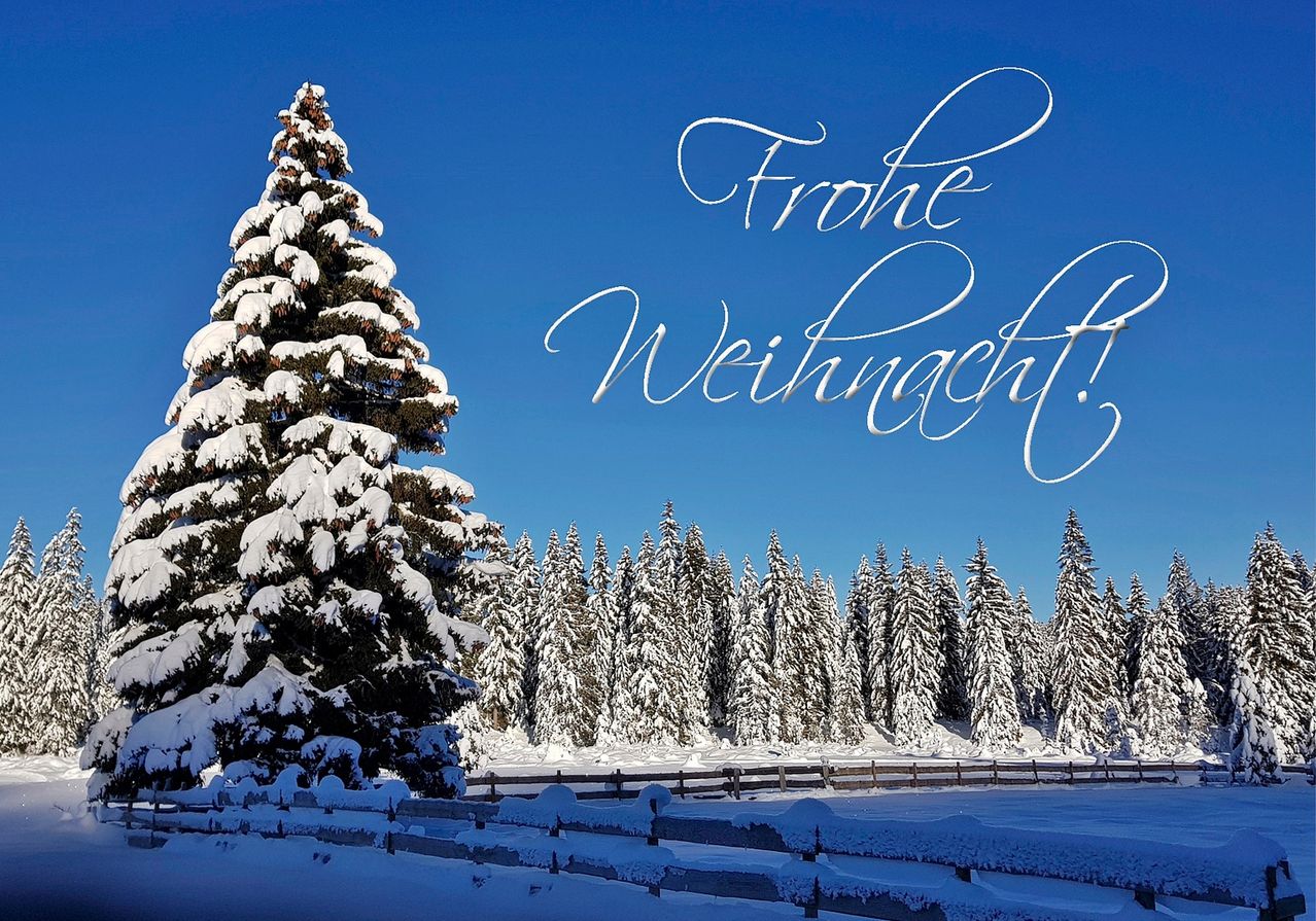 Eine verschneite Landschaft mit einem großen immergrünen Baum im Vordergrund und einem Holzzaun. Das Bild zeigt 'Frohe Weihnachten!' in eleganter Schrift.