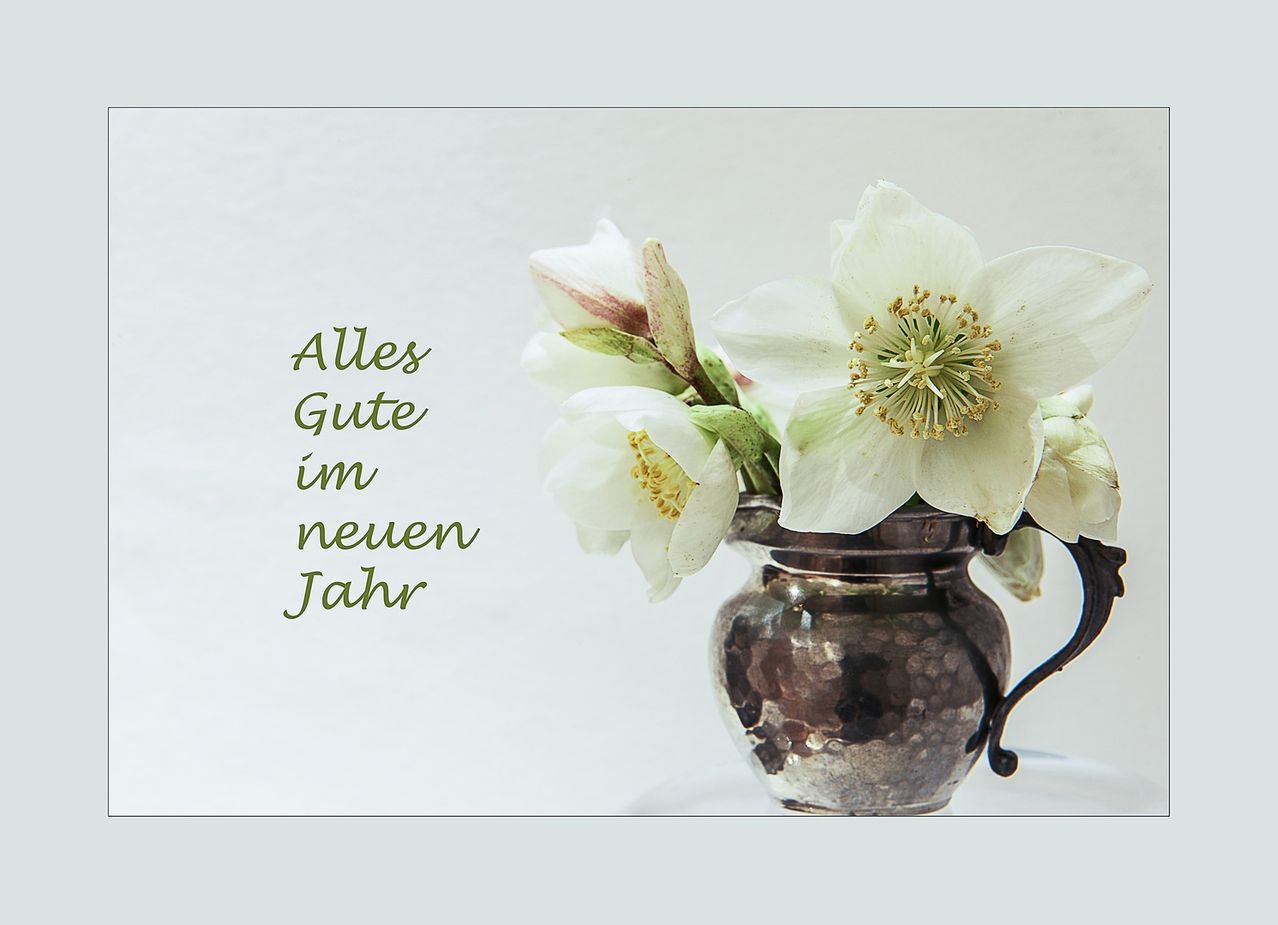 Eine Vase mit weißen Blumen wird mit einem grünen Textüberlagert, der 'Alles Gute im neuen Jahr' sagt. Die Blumen haben gelbe Zentren und sind in einer Vintage-Vase arrangiert.