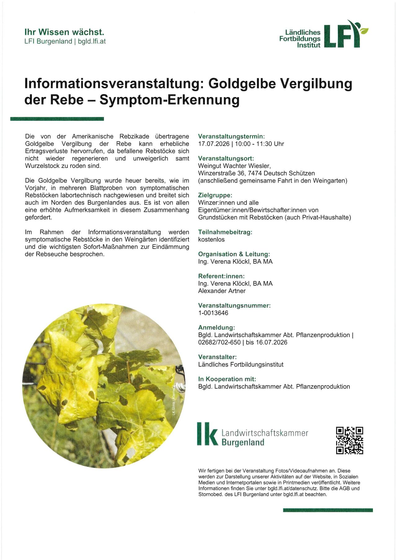 Ein Informationsveranstaltungsposter über die goldgelbe Verfärbung der Rebblätter, mit Angaben zum Datum, zur Uhrzeit und zum Veranstaltungsort sowie zu den Hauptthemen und Rednern. Ein QR-Code ist für die Anmeldung verfügbar.