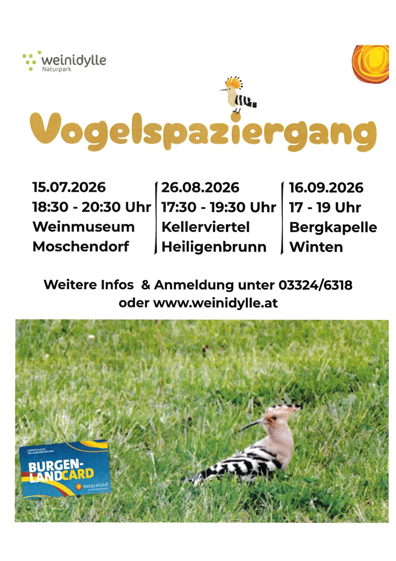 Plakat für Vogelspaziergang-Veranstaltung mit Daten, Orten und Kontaktinformationen. Ein Vogel ist auf dem Gras abgebildet.