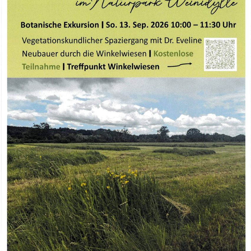 Ein Plakat für eine botanische Exkursion in einem Nationalpark, das eine landschaftliche Szene mit einem Feld und Bäumen unter einem bewölkten Himmel zeigt. Die Veranstaltung ist für den 13. September 2026 von 10:00 bis 11:30 Uhr geplant.