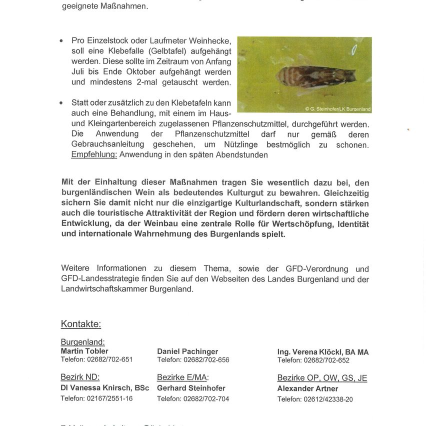 Das Bild zeigt eine Schädlingsbekämpfungsrichtlinie für Weinberge, einschließlich des Aufhängens einer Falle oder Trichterfalle vom Anfang Juli bis Ende Oktober und mindestens zweimaliges Schütteln. Alternativ können Pflanzenschutzmittel im Haus- und Kleingartenbereich eingesetzt werden. Die Anwendung ist vorzugsweise in den späten Abendstunden zu empfehlen, um nützliche Insekten zu schonen.