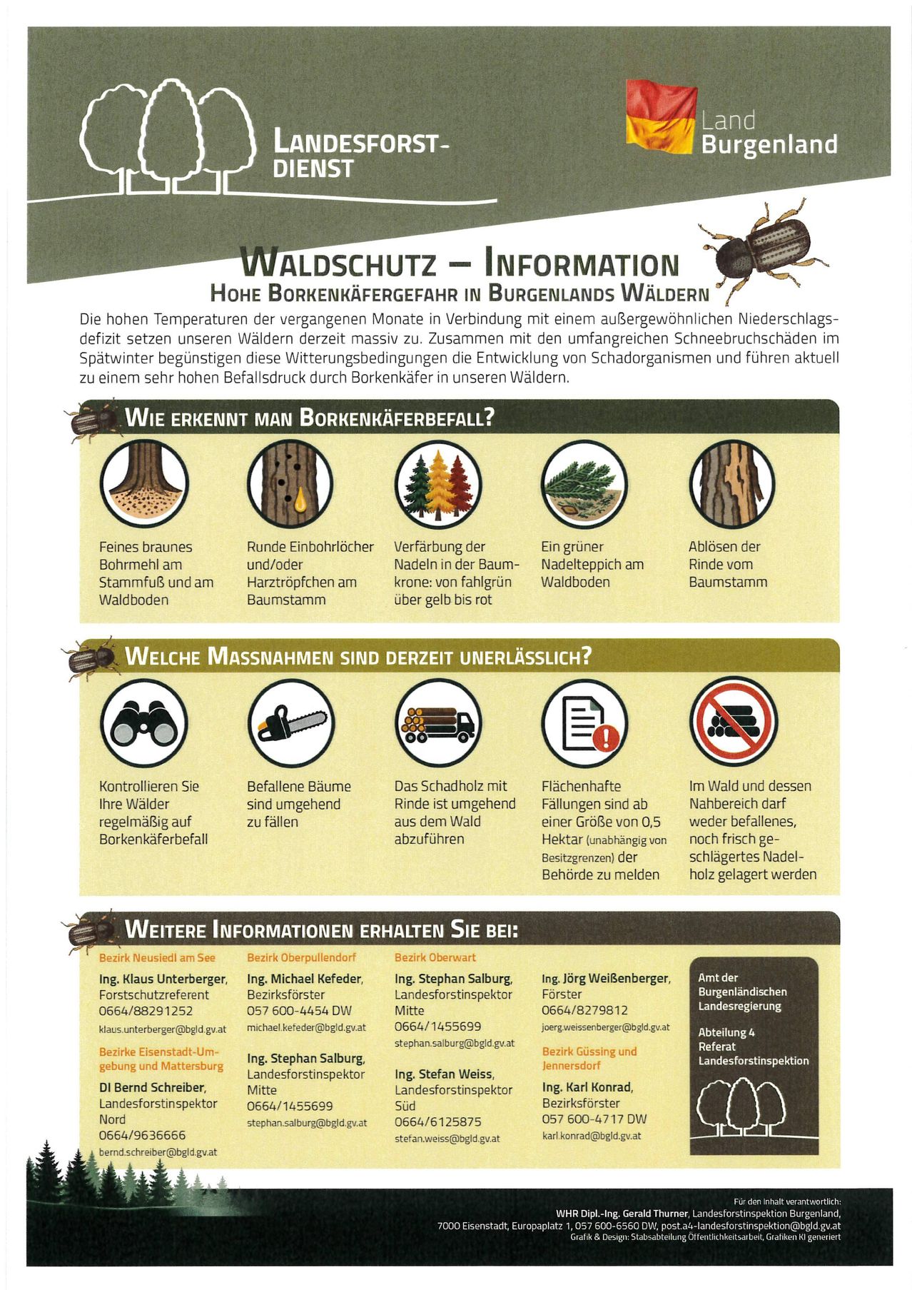Infografik über Borkenkäferbefall in Burgenlandwäldern. Es erklärt, wie man einen Befall erkennt, aktuelle Maßnahmen und Kontaktdaten für weitere Informationen.