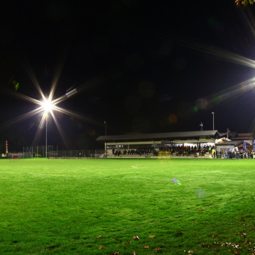 v1_migrated_image_78297745