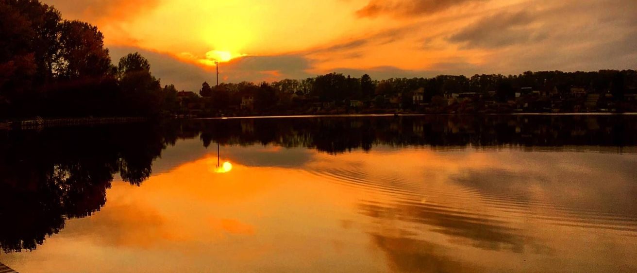 v1_migrated_image_48883966