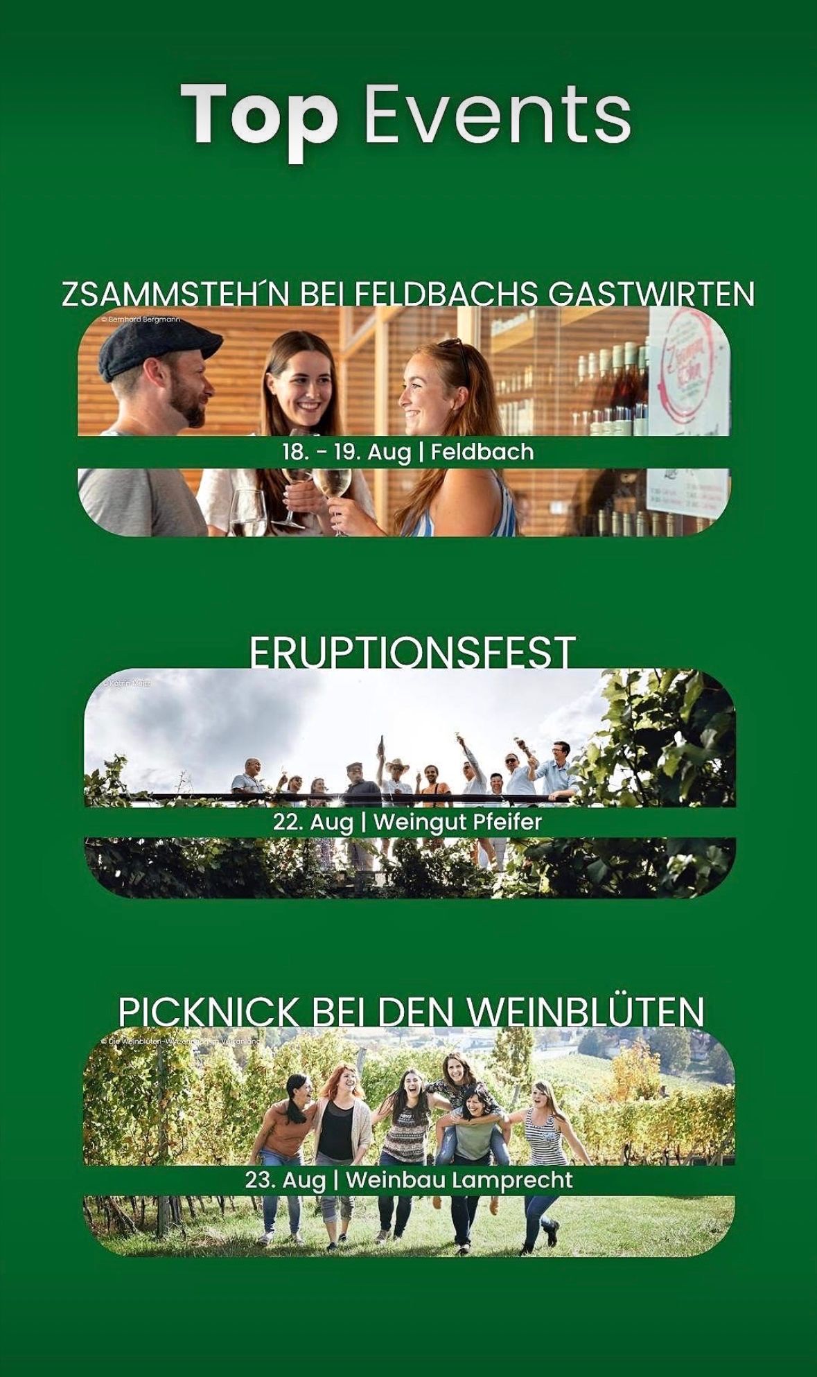 A poster advertising three events in Feldbach, Germany. The top section shows two smiling women holding wine glasses, with the text 'Zsammenstehen bei Feldbachs Gastwirten'. Below, a group of people are standing on a balcony with the text 'Eruptionsfest'. The bottom section features a picnic scene with the text 'Picknick bei den Weinblüten'.