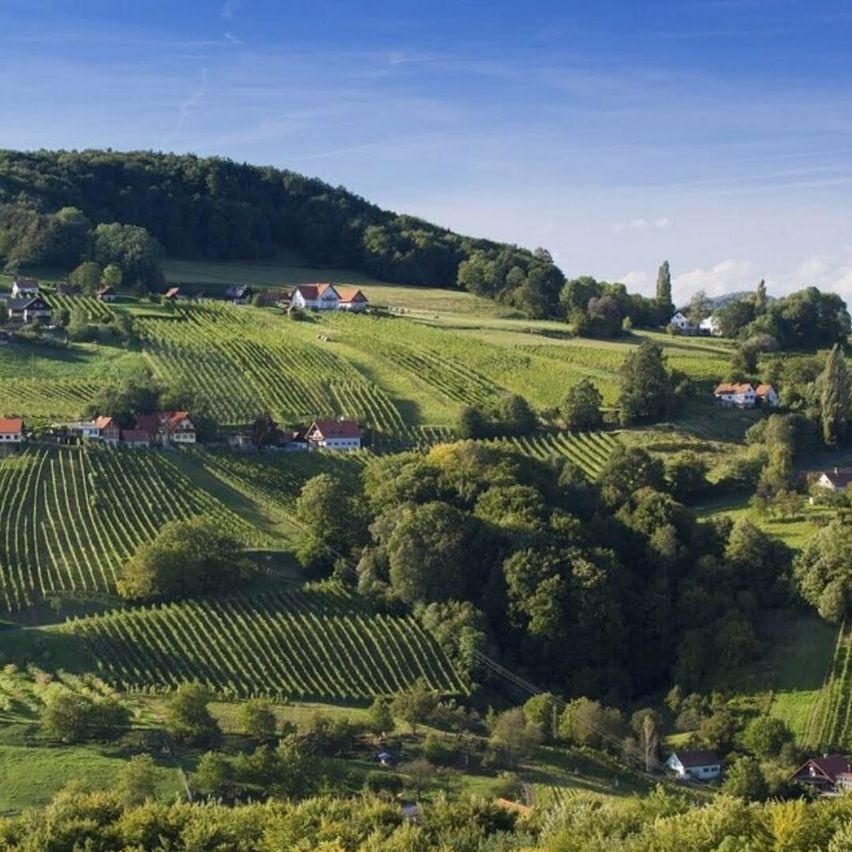 Ein Luftbild einer malerischen ländlichen Landschaft mit terrassierten Weinbergen, kleinen Häusern und üppigen grünen Bäumen an einem sonnigen Tag.