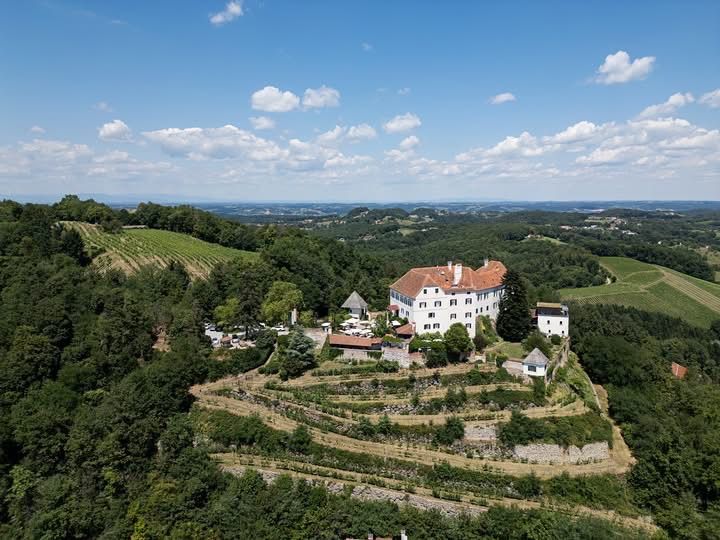 An aerial view of a large white house with a red roof surrounded by lush green vineyards and trees on a sunny day.