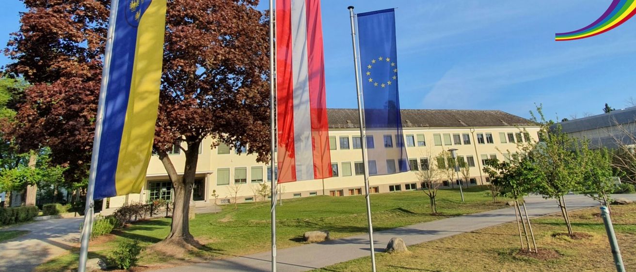 Bild enthält, Grass, Plant, City, Neighborhood, Architecture, Building, Campus, Flag