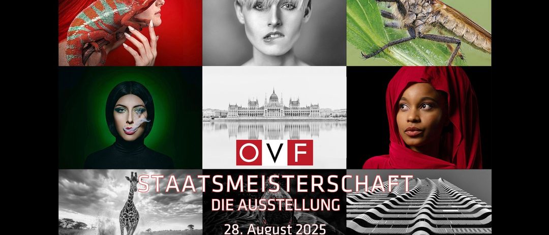 Eine Collage von Bildern zeigt eine Frau mit einem Chamäleon, eine Frau mit kurzen Haaren und eine Fliege auf einem Blatt. In der Mitte ist die Budapester Skyline mit den Buchstaben OVF zu sehen. Die Ausstellung läuft vom 28. August 2025 bis 11. September 2025.