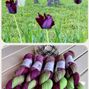 Bild enthält, Purple, Flower, Plant, Grass, Petal, Tape, Rose, Yarn, Outdoors