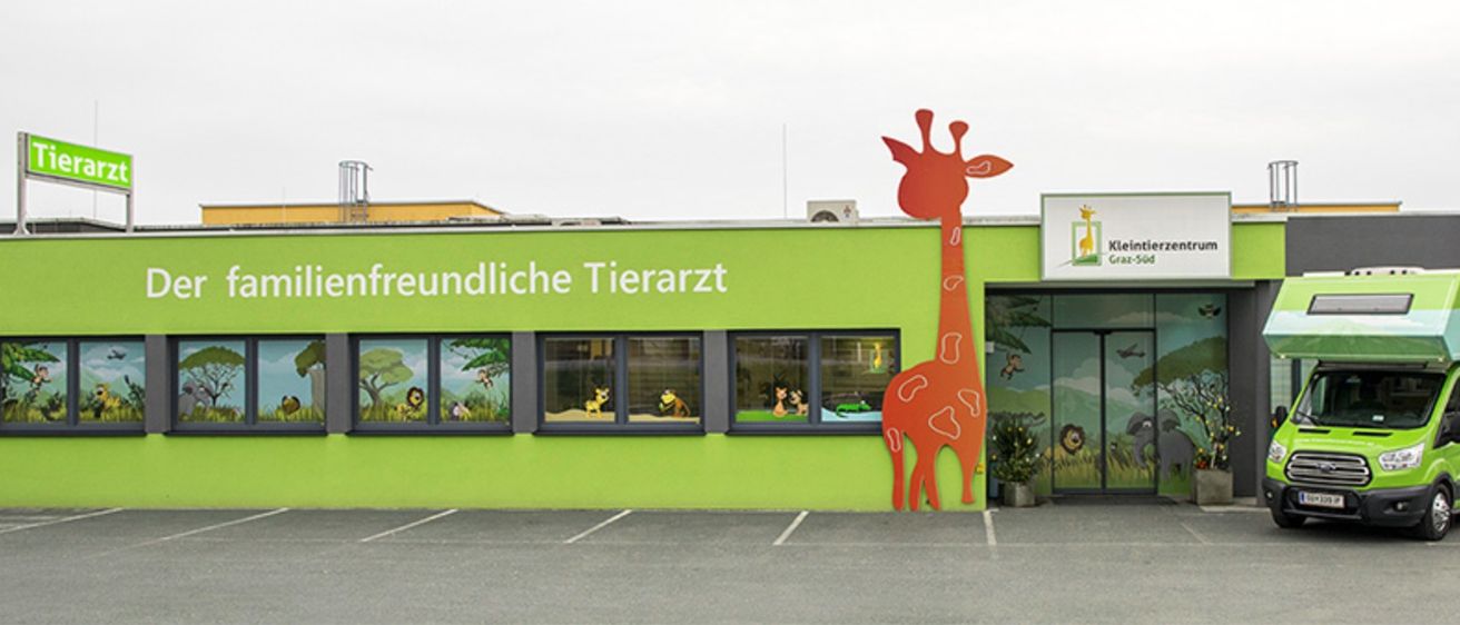 Die Vorderseite einer grünen Tierklinik hat große Fenster und eine Giraffenmalerei. Sie heißt 'Tierärztliche Klinik'.