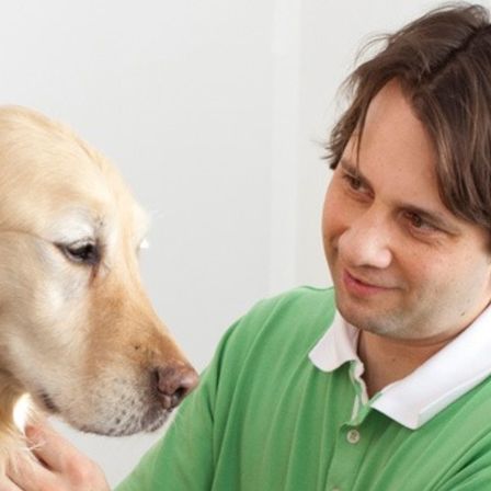 Ein Mann in einem grünen Hemd mit weißem Kragen streichelt einen Golden Retriever. Der Hund sieht den Mann an, der lächelt.