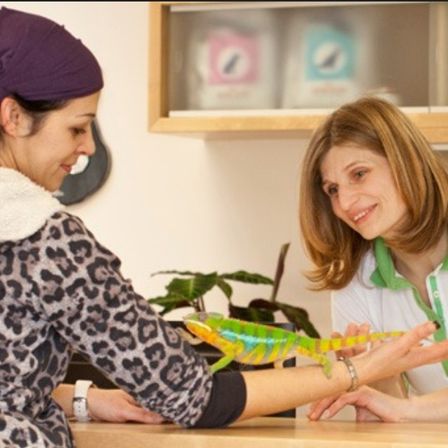 Eine Frau in einem weißen Shirt hält einen bunten Chamäleon, während eine andere Frau in einem Leopardenmuster-Shirt die Hand des Chamäleons hält. Hinter ihnen befindet sich ein Holzregal mit verschiedenen Gegenständen.