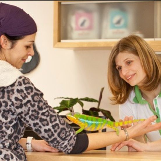 Eine Frau in einem weißen Shirt hält einen bunten Chamäleon, während eine andere Frau in einem Leopardenmuster-Shirt die Hand des Chamäleons hält. Hinter ihnen befindet sich ein Holzregal mit verschiedenen Gegenständen.