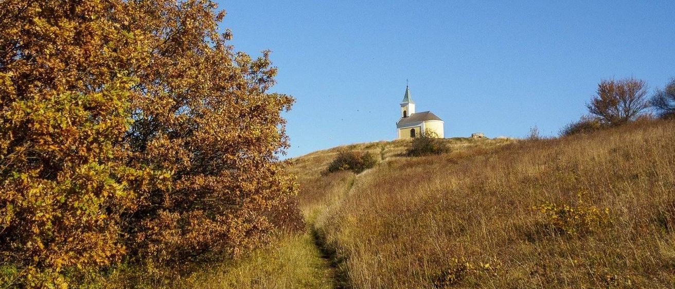 v1_migrated_image_68863974