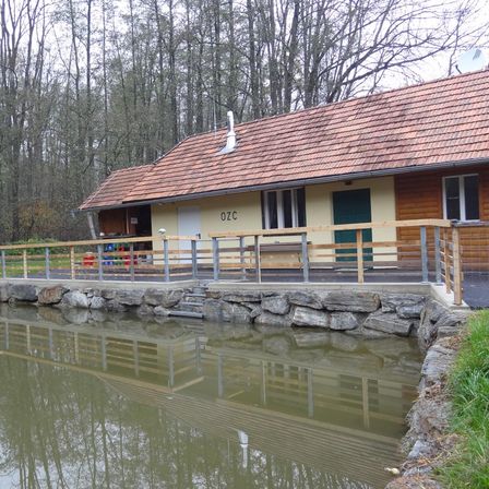 v1_migrated_image_19562968